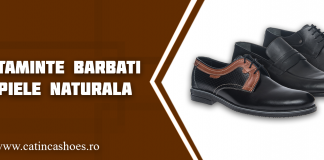 incaltaminte barbati din piele naturala
