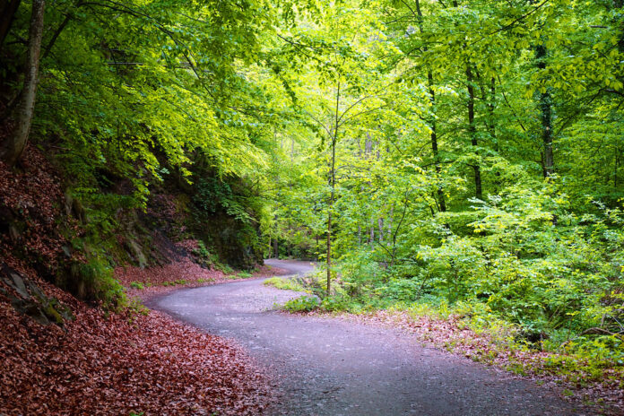 Parcul Național Cozia