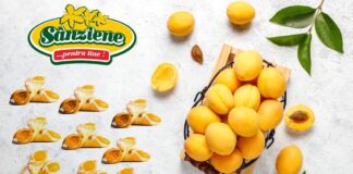 Cornuleţe Sânziene