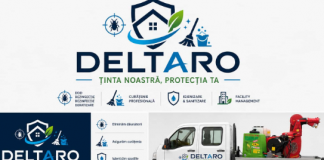 Dezinsecție, Deratizare și Dezinfecție – Soluții Profesionale pentru Spații Curate și Protejate